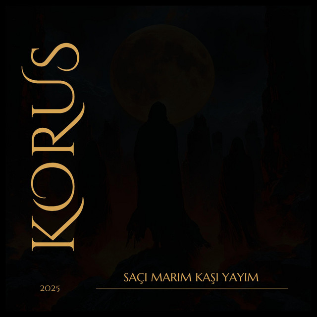 Belki Bir Gün cover art