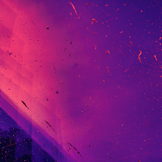 Lilac cover art