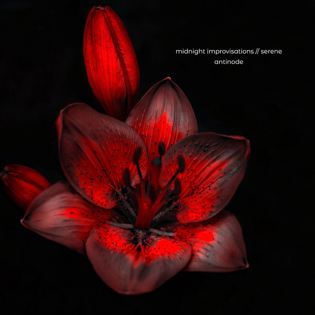 Midnight Improvisations // Serene cover art