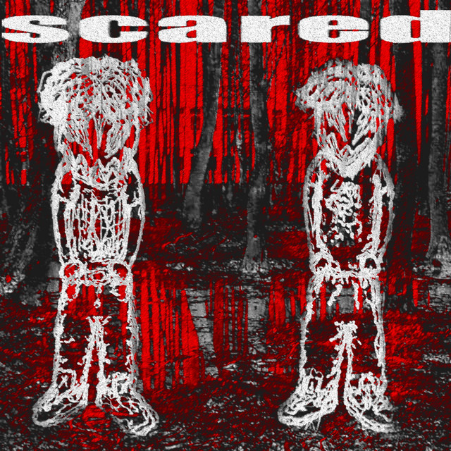 scared ! cover art