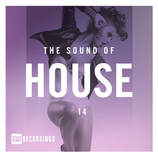 The Sound Of House, Vol. 14 cover art