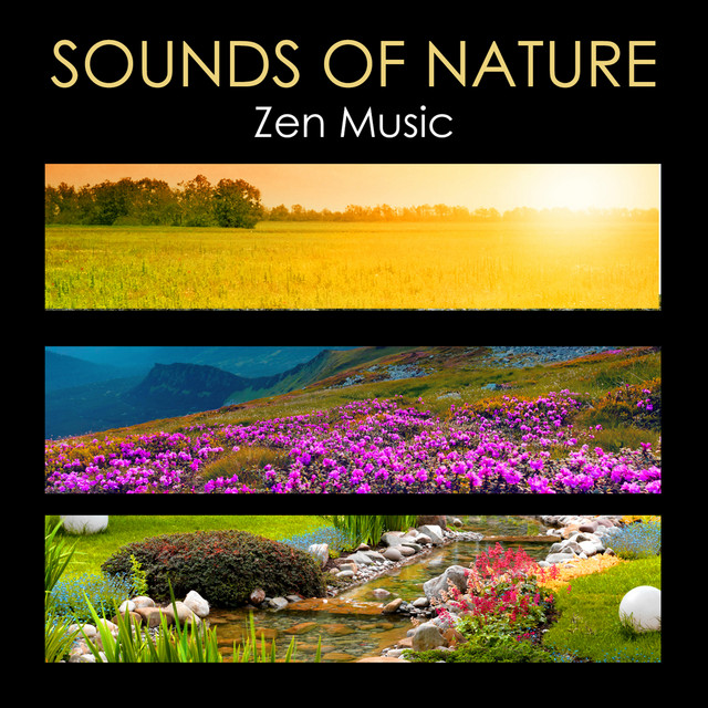 Sounds of Nature Zen Music - Relaxing Nature Music for Zen Meditation Chakra cover art