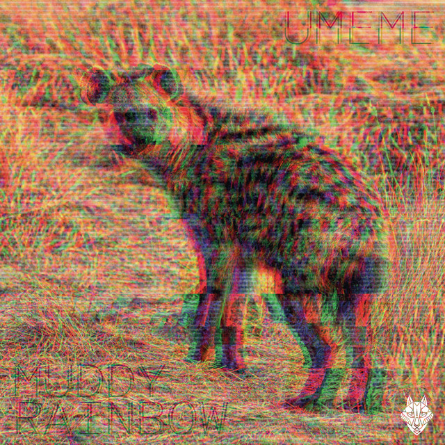 Muddy Rainbow cover art