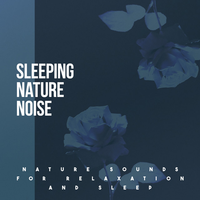 Sleeping Nature Noise - Album by Nature Sounds for Relaxation and Sleep ...