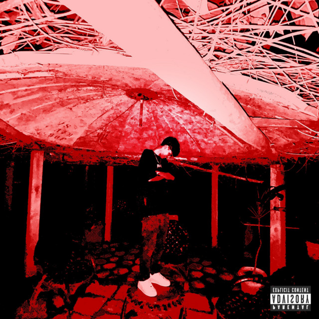 modo insano cover art