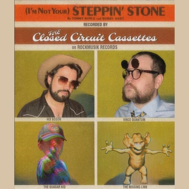 (I'm Not Your) Steppin' Stone cover