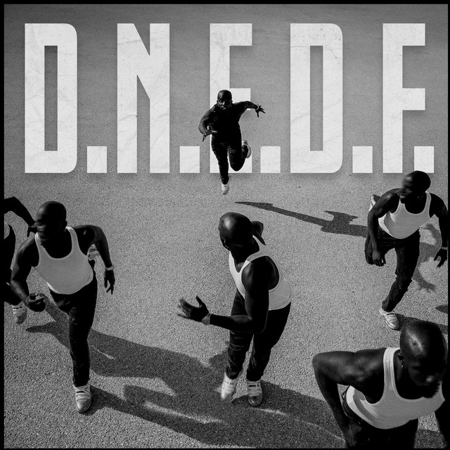 D.N.E.D.F. cover art