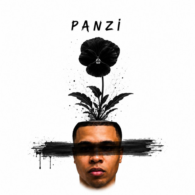 PanZi