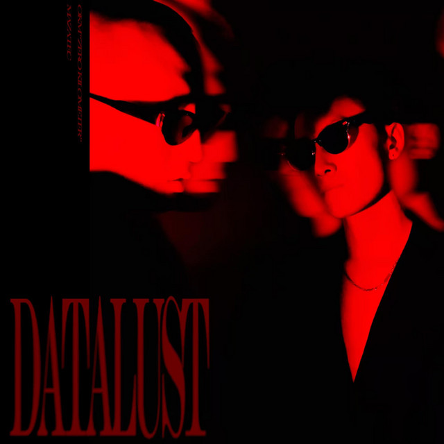数据欲潮 cover