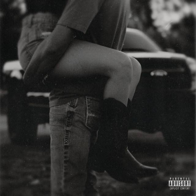 Cowboy Confessions cover art