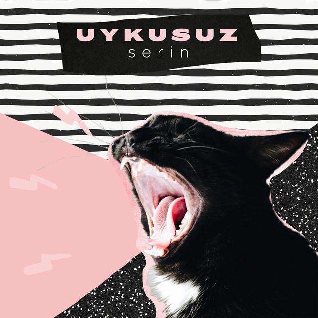 Uykusuz cover art