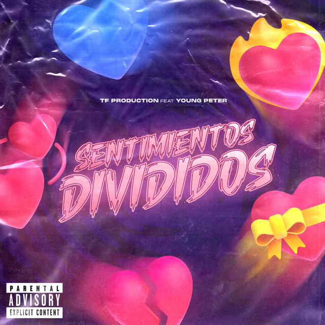 SENTIMIENTOS DIVIDIDOS cover art