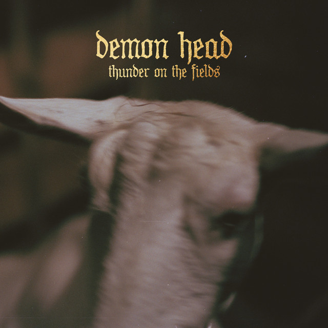 Thunder on the Fields cover art
