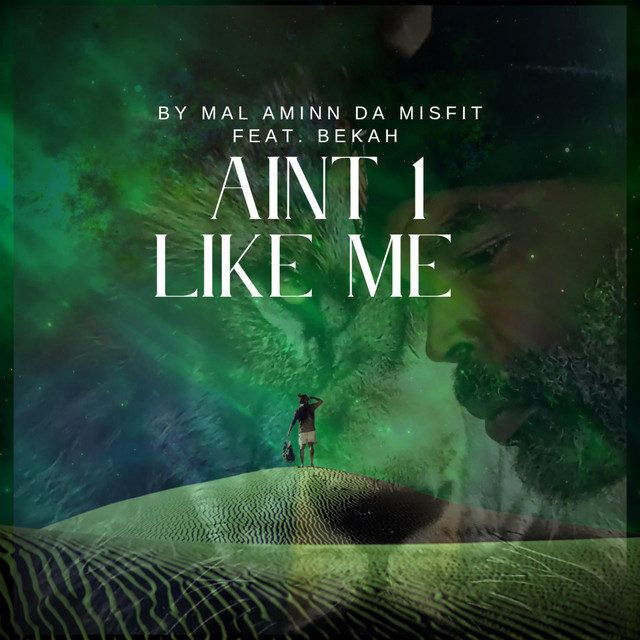 AINT 1 LIKE ME