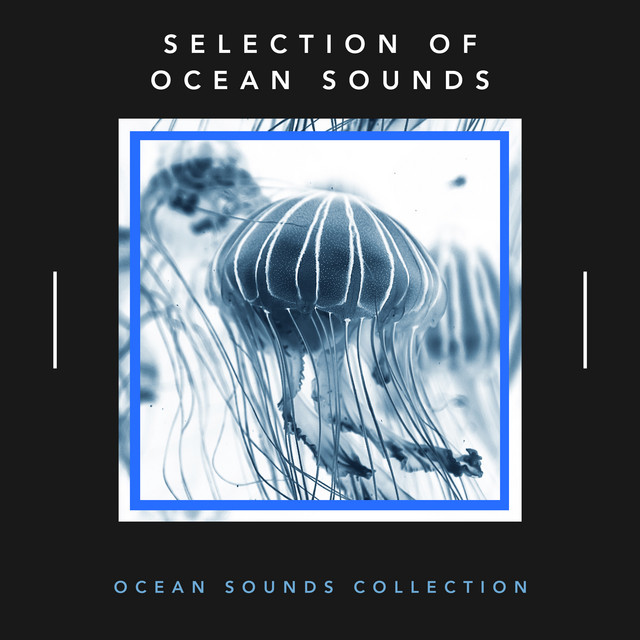 Selection of Ocean Sounds - Album by Ocean Sounds Collection | Spotify