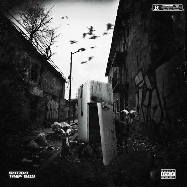 Dimmi Che Vuoi cover art