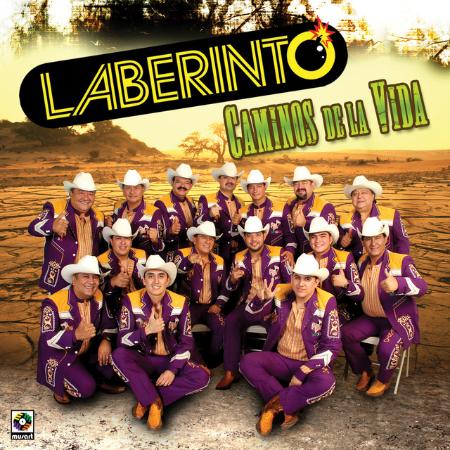 Caminos de la Vida cover art