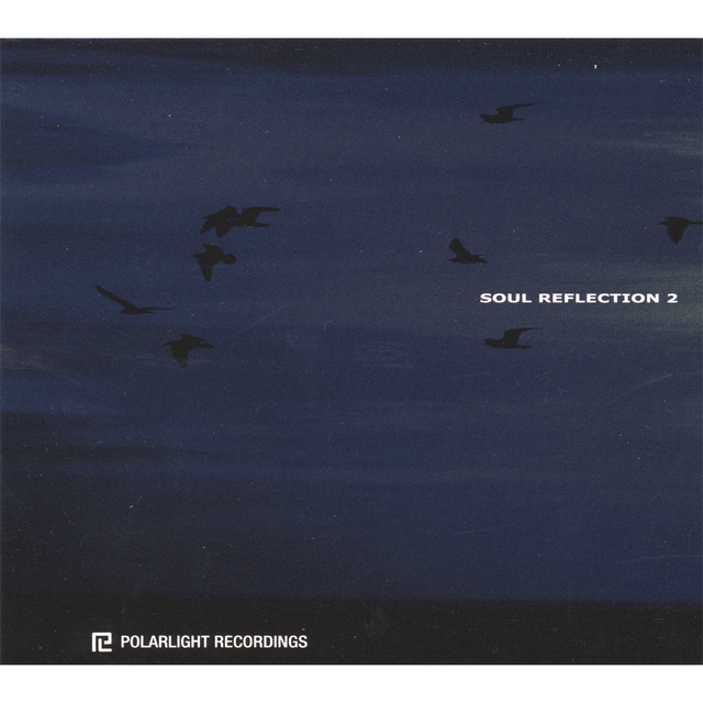 Soul Reflection 2 cover