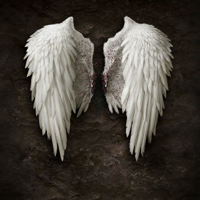 Fly Away
