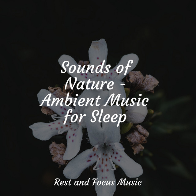 Sounds of Nature - Ambient Music for Sleep - Album by Hipnose Natureza ...
