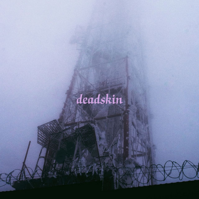 Album cover for Deadskin by Niar'era'Rain