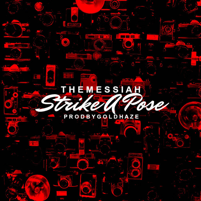 Strike a Pose cover