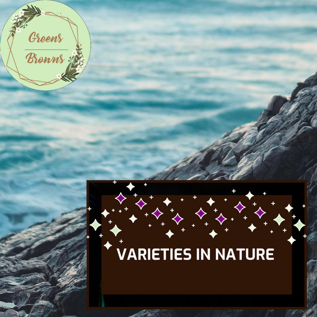 Seashore Bliss Farm cover art