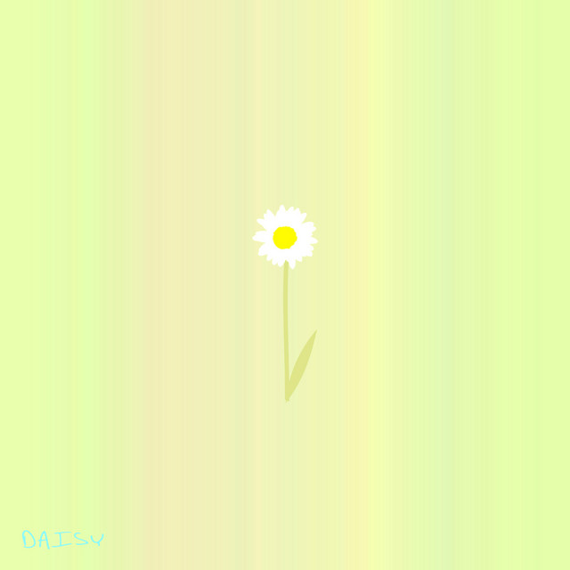 Daisy cover