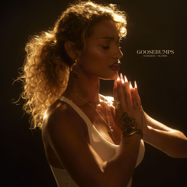 Goosebumps album image