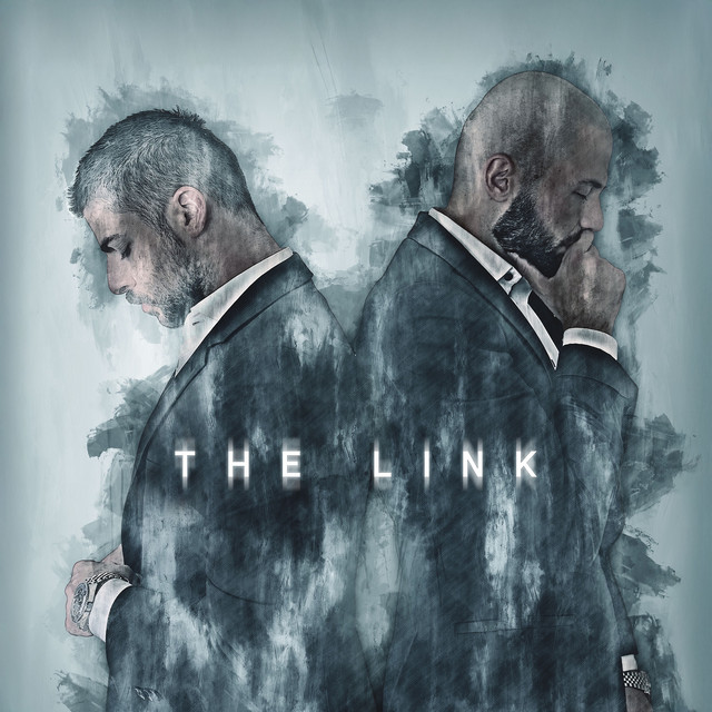 The Link cover art