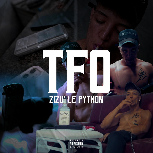 TFO cover art