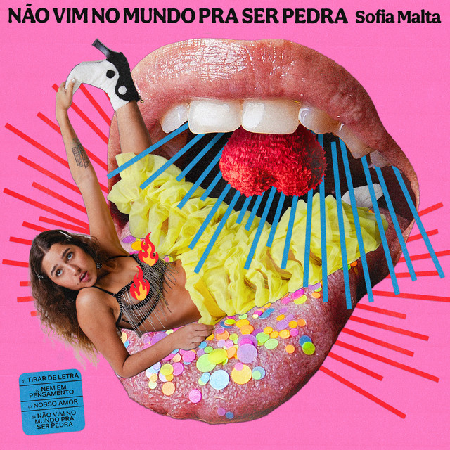 Capa de Não Vim no Mundo pra Ser Pedra