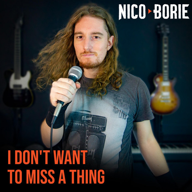 I Don't Want to Miss a Thing