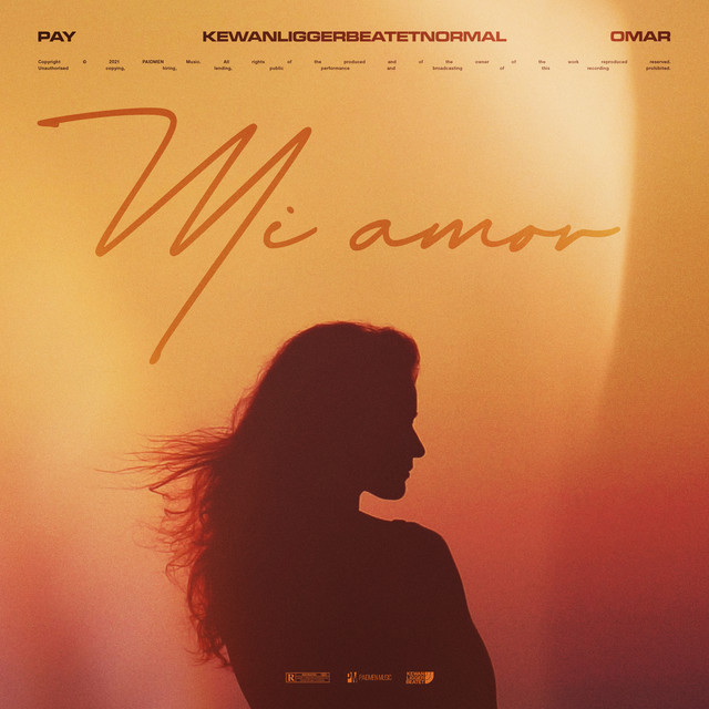 Mi Amor cover art
