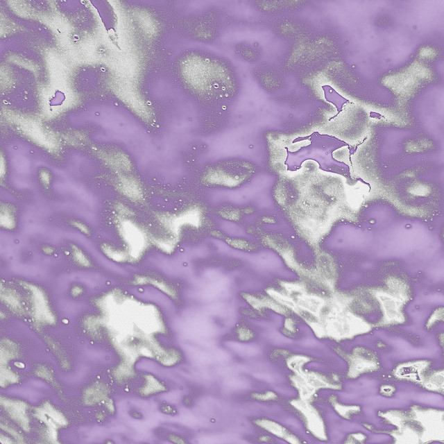 untitled cover art