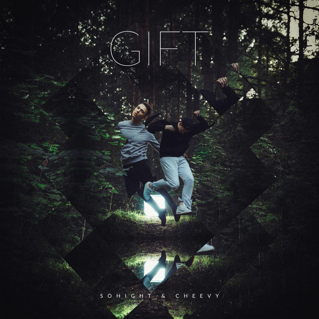 Gift cover