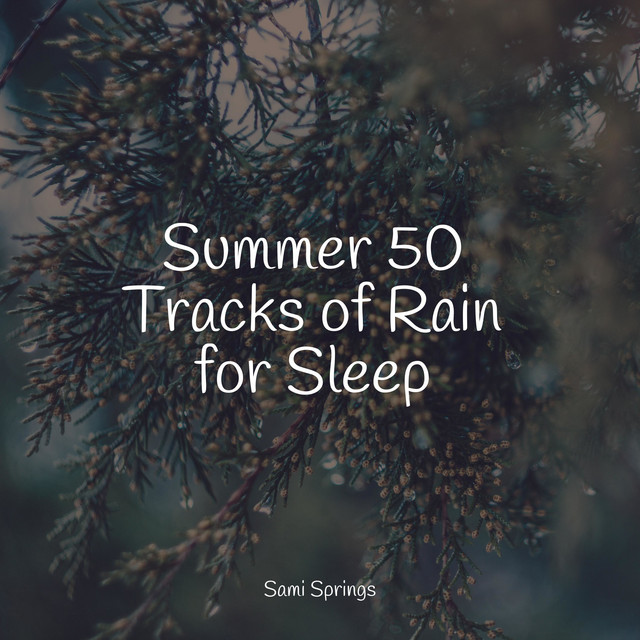 Summer 50 Tracks of Rain for Sleep - Album by Avslappning Sound | Spotify