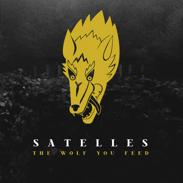The Wolf You Feed cover
