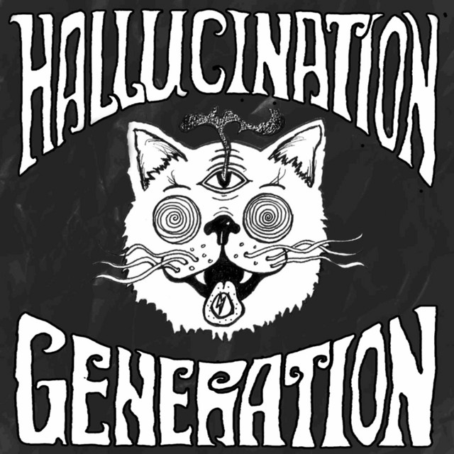 Hallucination Generation