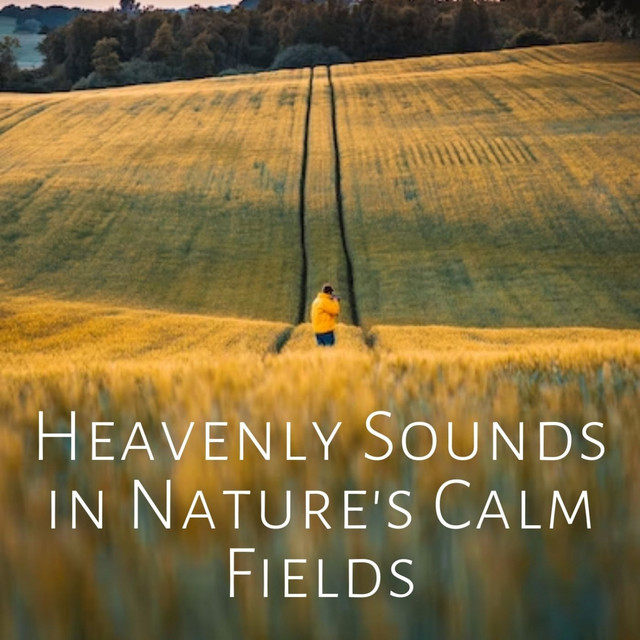 Heavenly Sounds in Nature's Calm Fields cover art