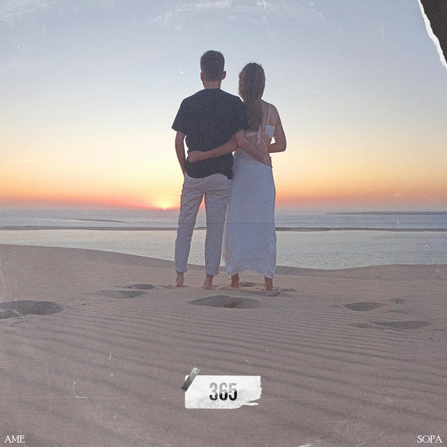 365 cover art