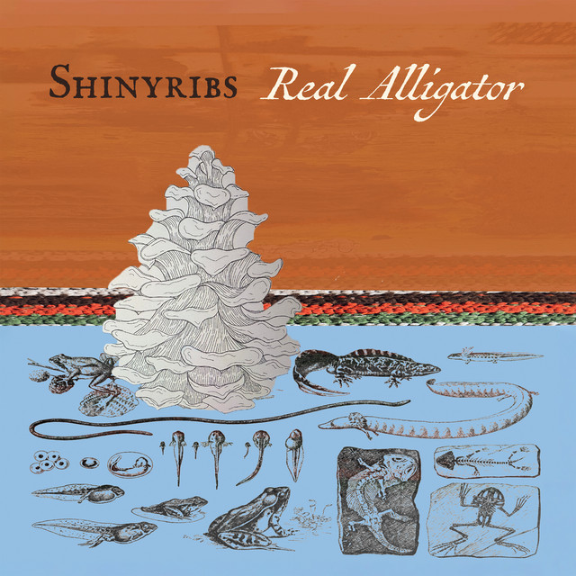 Real Alligator cover