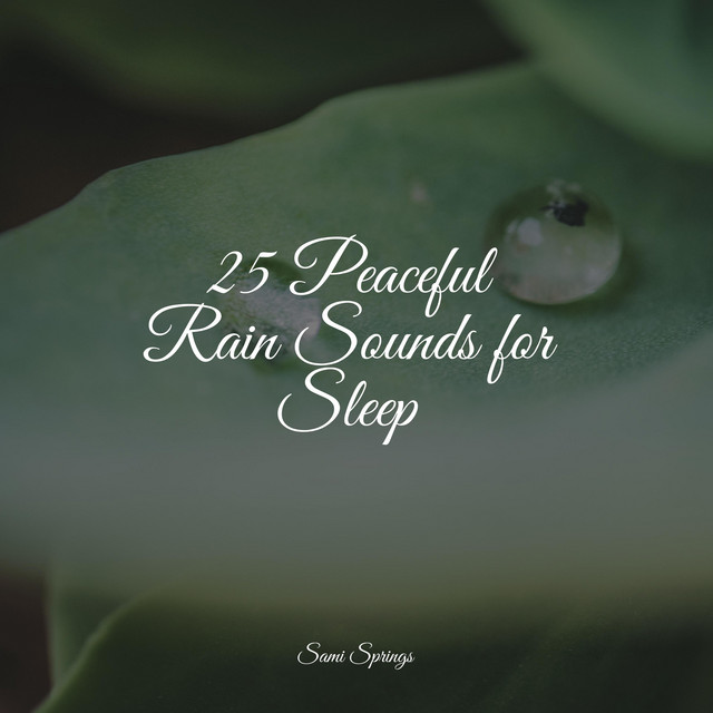 25 Peaceful Rain Sounds for Sleep - Album by Big Sounds | Spotify