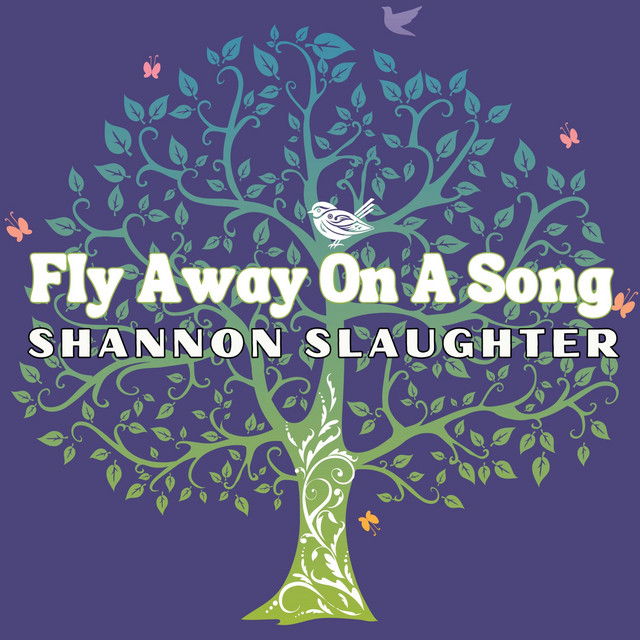 Fly Away on a Song cover