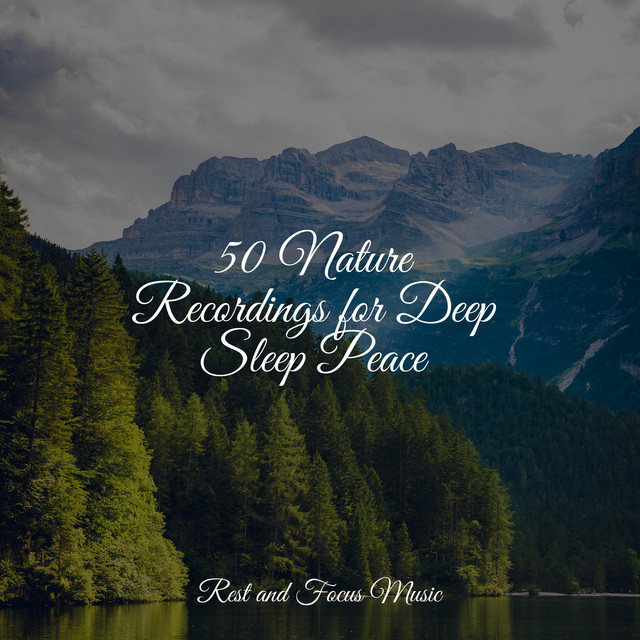 50 Nature Recordings for Deep Sleep Peace - Album by Sounds of Nature ...