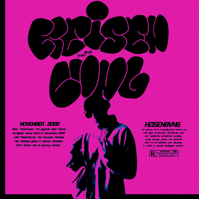 HEISEINBVNG cover art