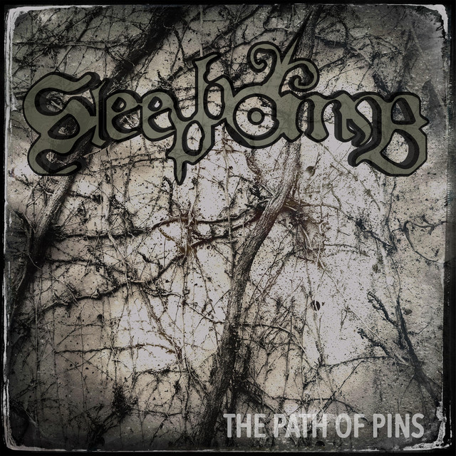 The Path of Pins cover art
