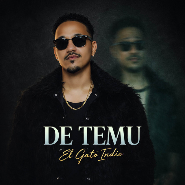 De TEMU