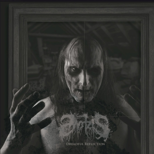 Dreadful Reflection cover art