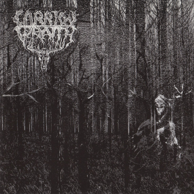 Carrion Wraith Photo